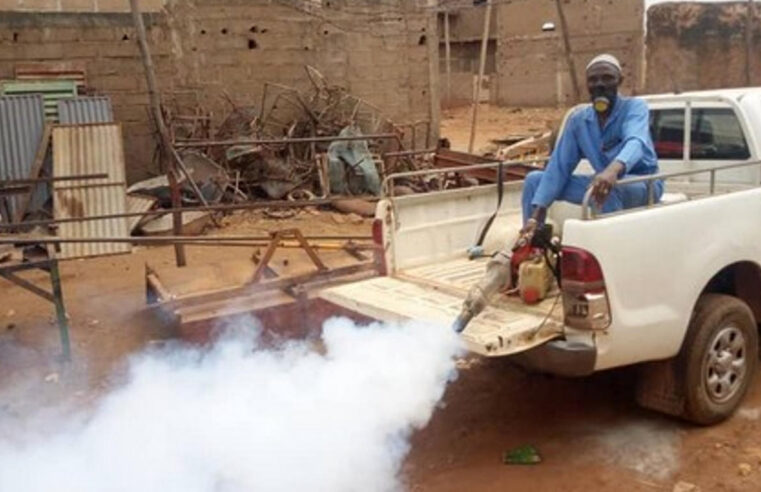 Dengue au Mali : une épidémie en progression chez les adultes