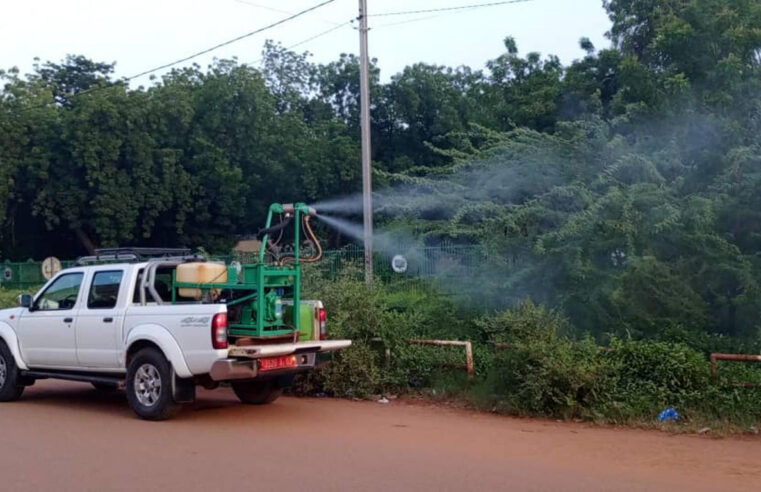 Crise sanitaire au Burkina Faso : l&rsquo;épidémie de dengue atteint des sommets alarmants