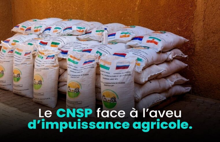 Le Niger entre dépendance alimentaire et quête de souveraineté