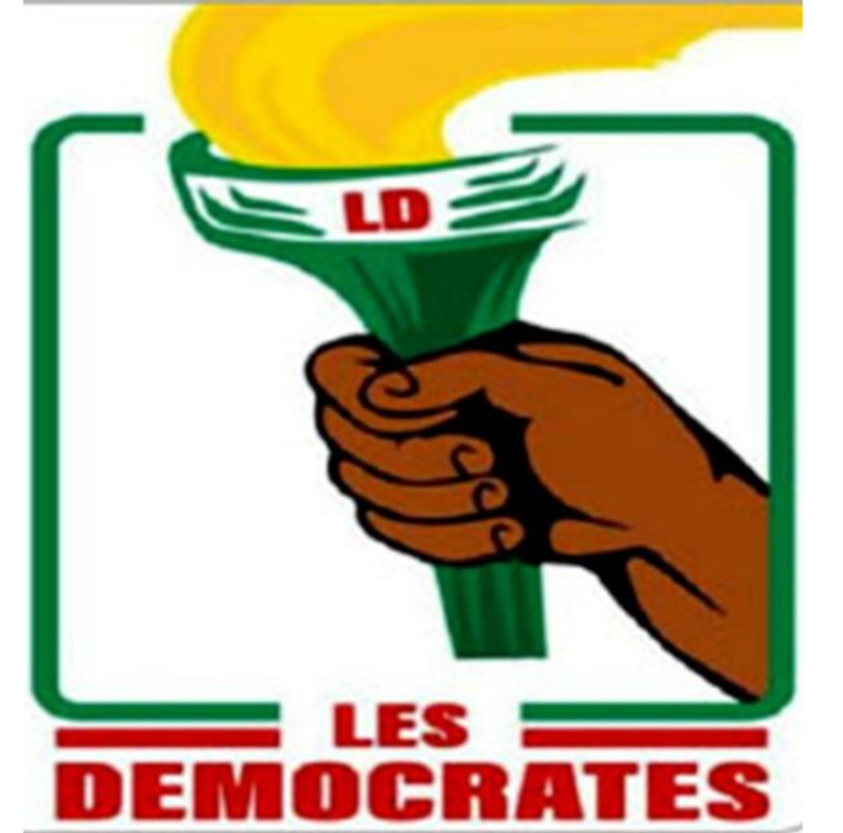 Présidentielle 2026 au bénin : les démocrates célèbrent le duo wadagni-talata et appellent à un renouveau démocratique