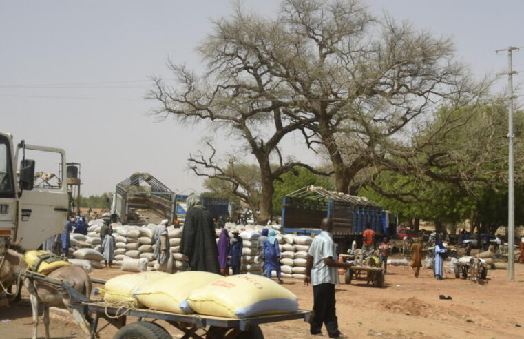 Urgence humanitaire à Téra : des milliers de civils fuient les menaces armées dans l&rsquo;ouest du Niger