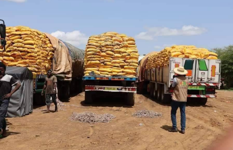 Burkina faso : l&rsquo;échec de la junte à assurer la sécurité alimentaire malgré les promesses