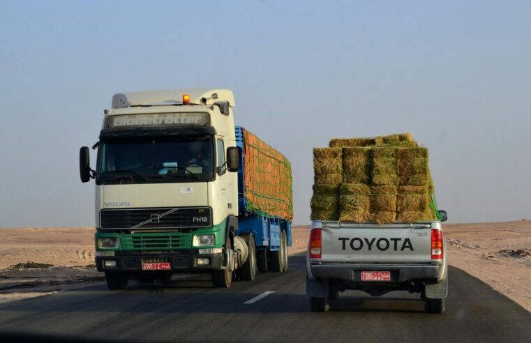 Modernisation des corridors Cameroun-Tchad-RCA pour booster l’économie régionale