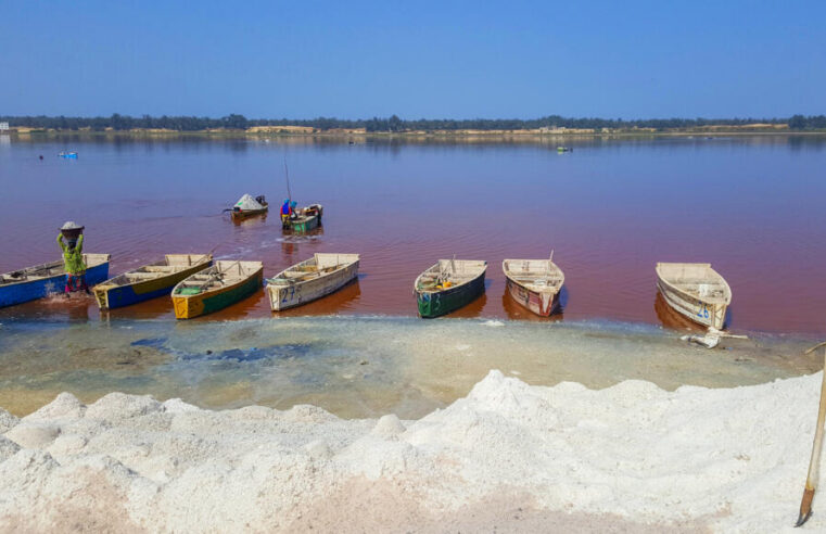 Lac Rose : la résistance s’organise contre la future cité verte près de Dakar