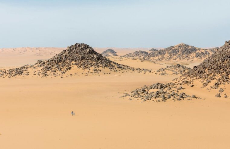 Accusations de Bamako contre Paris : le soutien français aux rebelles de l&rsquo;azawad démenti