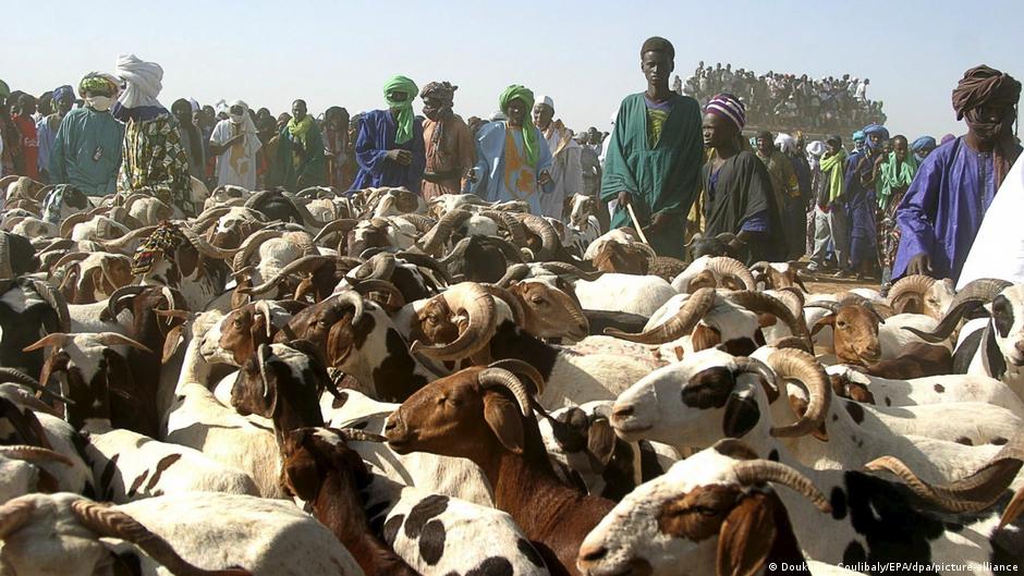 Escorte militaire pour les moutons de tabaski à Bamako