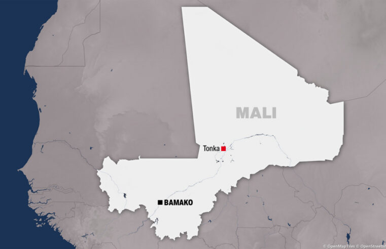 Nouvelle exécution jihadiste à Tonka : un maître coranique tombe sous les balles du Jnim au Mali