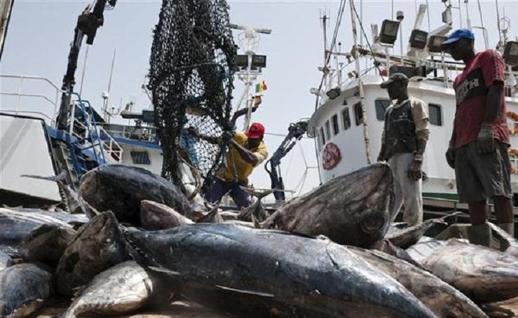 Sénégal octroie quatre nouvelles licences de pêche pour dynamiser l&rsquo;économie locale