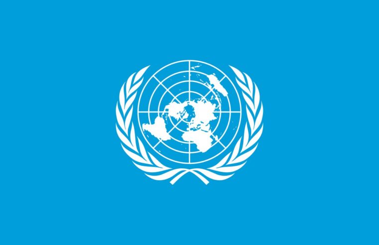 Conseil de sécurité de l&rsquo;ONU : condamnation des attaques terroristes au Mali
