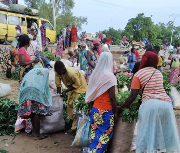 N’djamena face au désordre urbain : pauvreté et solutions durables
