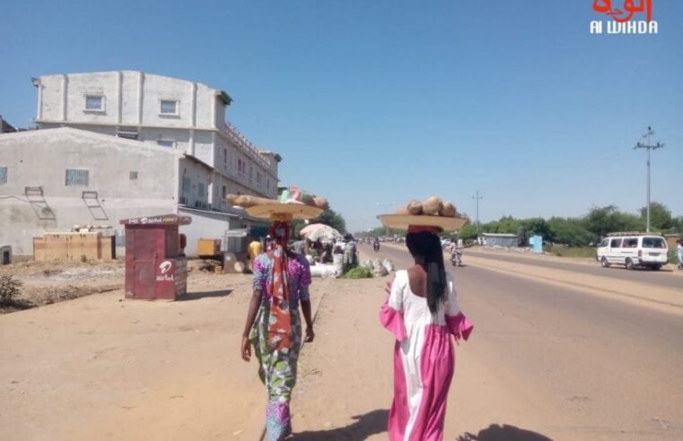Marchés du Tchad : quand les mères s’émancipent au prix des enfants