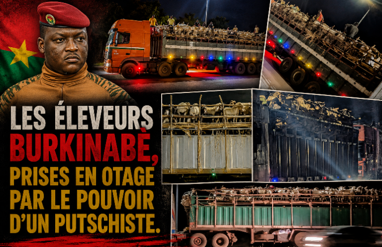 Burkina Faso : l’embargo sur le bétail étrangle les éleveurs avant le Ramadan