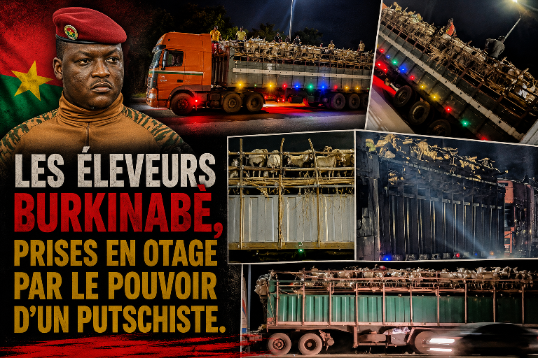 Burkina Faso : l’embargo sur le bétail étrangle les éleveurs avant le Ramadan