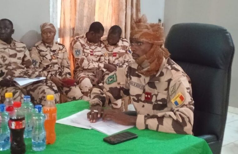 Renforcement des forces tchadiennes et centrafricaines à la frontière
