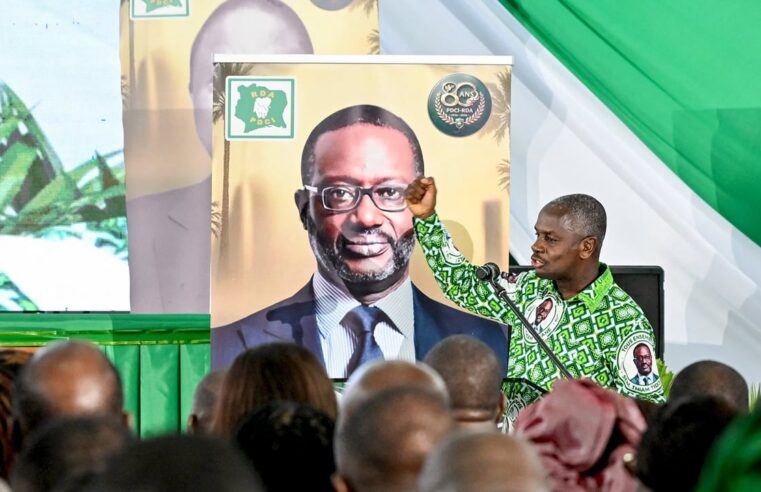 Côte d&rsquo;Ivoire : les tensions entre rhdp et pdci s&rsquo;intensifient autour de tidjane thiam