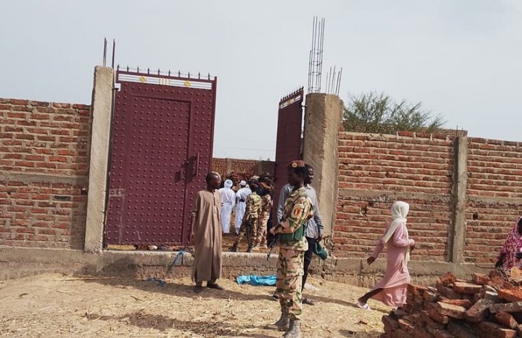 Tchad : un réseau clandestin d&rsquo;abattage illégal démantelé à N’Djamena