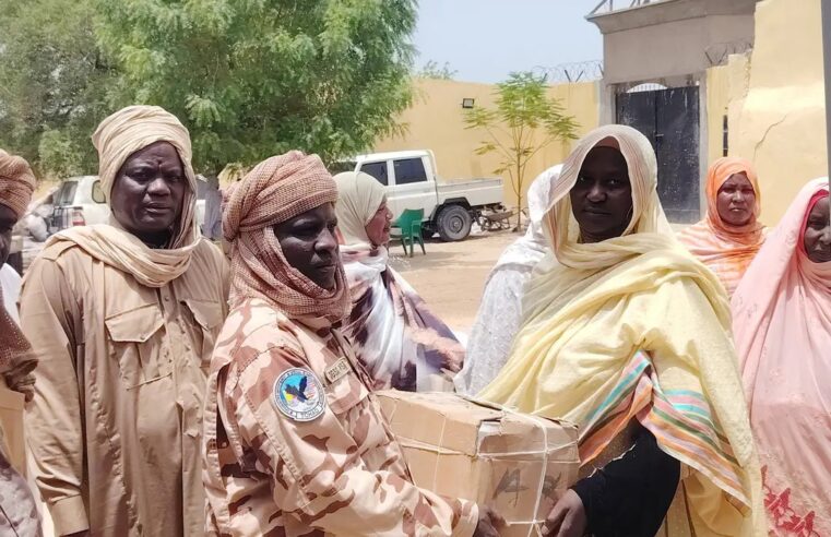 Solidarité féminine contre Boko Haram dans la province du Lac