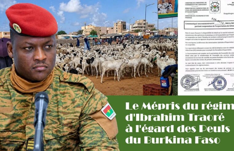 Burkina Faso : la communauté peule sous pression, entre répression et asphyxie économique