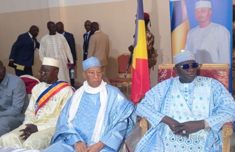 Mission gouvernementale au Tchad : suivi renforcé dans le Logone occidental