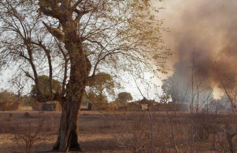 Affrontements sanglants dans la forêt de Sambisa entre factions terroristes