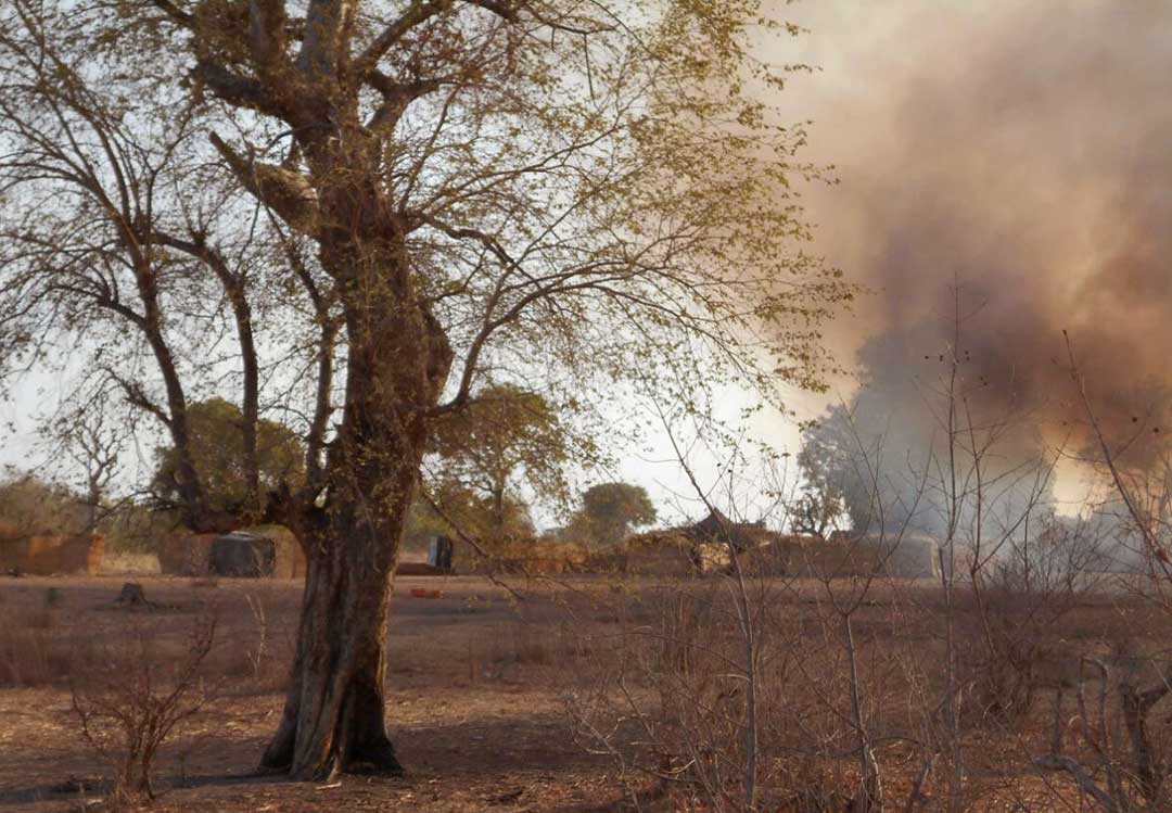 Affrontements sanglants dans la forêt de Sambisa entre factions terroristes