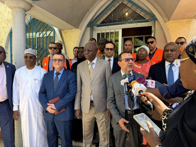 La Sonelgaz lance les travaux préparatoires d&rsquo;une centrale de 40 MW au Tchad