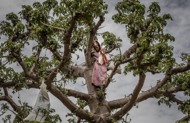 Crise économique au Niger : une génération confrontée à la faim extrême