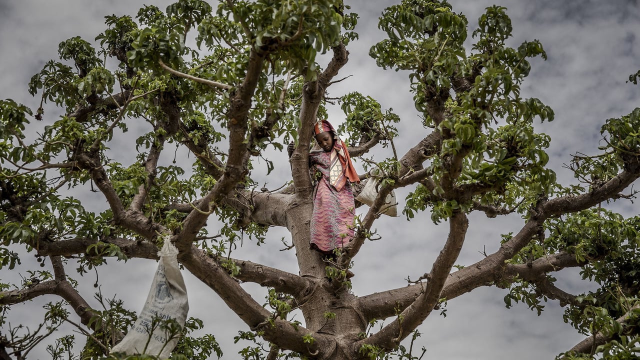 Crise économique au Niger : une génération confrontée à la faim extrême