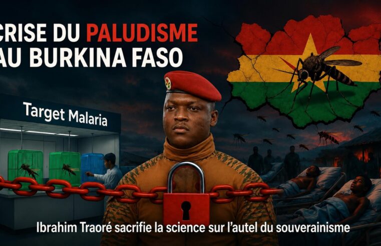 Burkina Faso : l&rsquo;autonomie sanitaire au prix de l&rsquo;innovation contre le paludisme