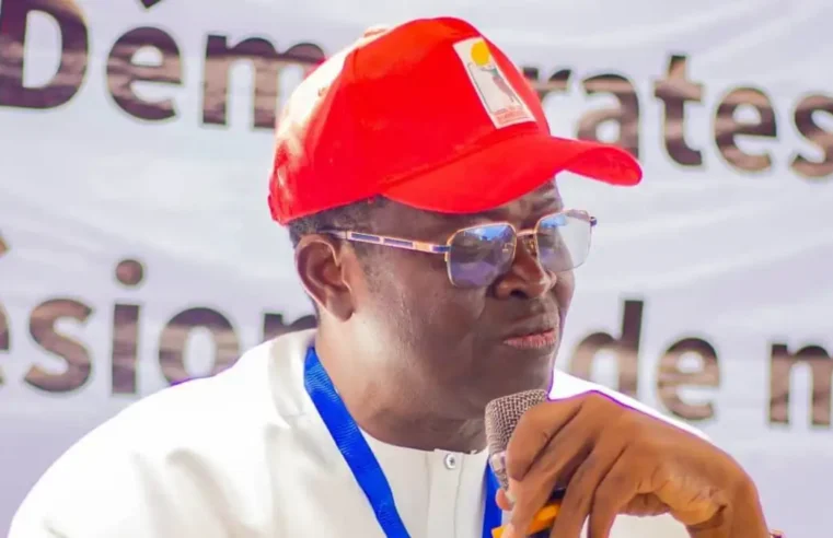 Parti ld et fcbe : opposition et mouvance au Bénin après scrutin