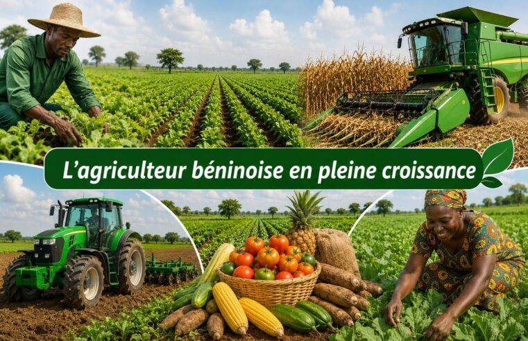 Agriculture béninoise : la révolution verte portée par les réformes de talon