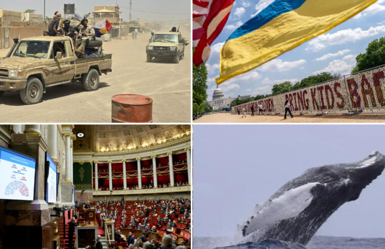 L&rsquo;alliance Jnim-FLA au Mali : quelles perspectives pour cette union ?