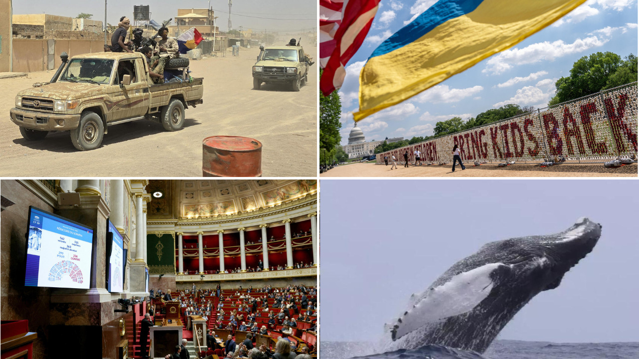 L&rsquo;alliance Jnim-FLA au Mali : quelles perspectives pour cette union ?