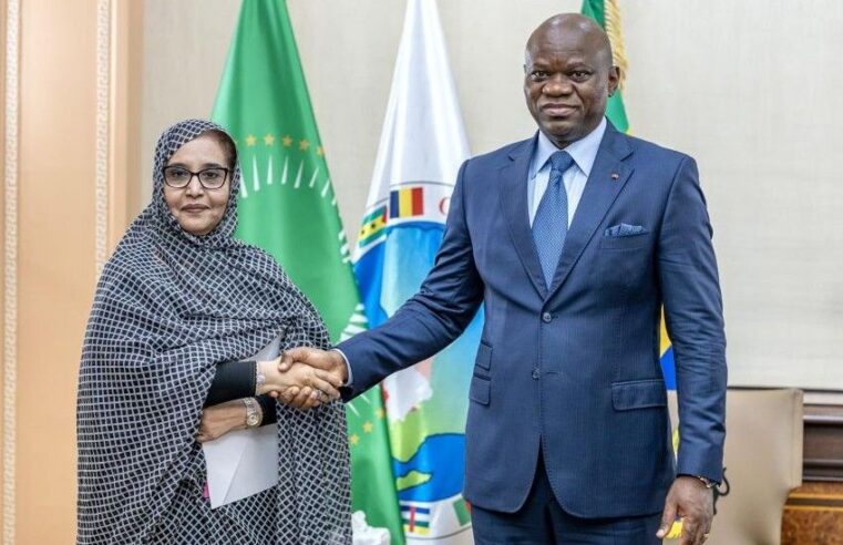 Francophonie : l&rsquo;Afrique trace sa voie à Libreville