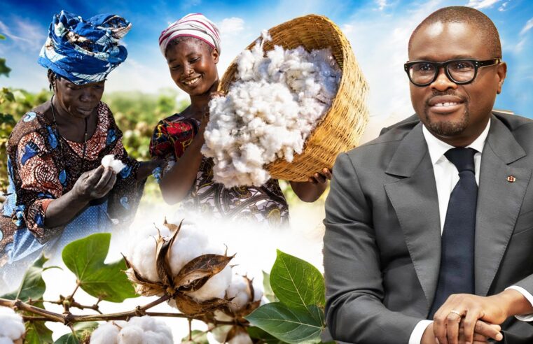 Le Bénin lance une prime à la productivité pour révolutionner sa filière cotonnière