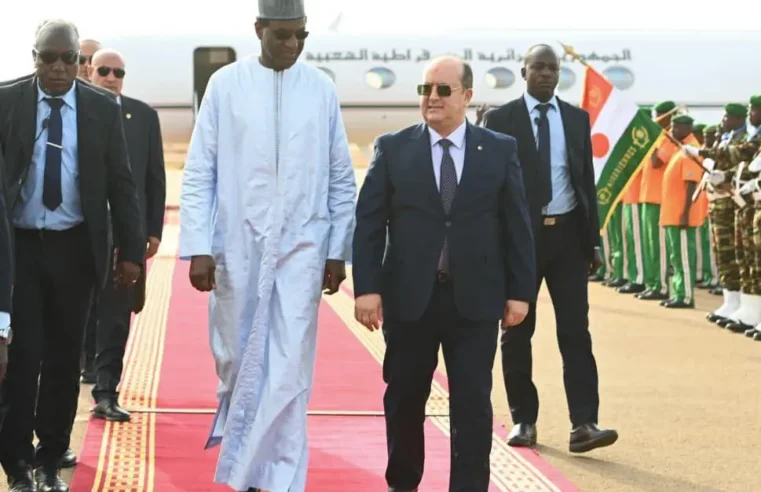 Alger Premier ministre en mission diplomatique au Niger