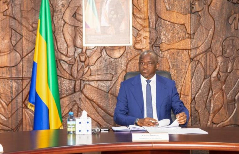 Gabon et union européenne : quatre axes pour un partenariat renforcé