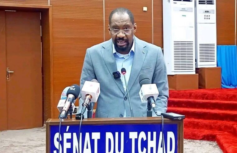 Tchad : le gouvernement renforce la sécurité face aux tensions communautaires