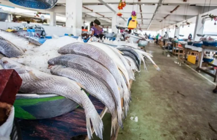 Le Gabon met fin à son accord de pêche avec l&rsquo;union européenne