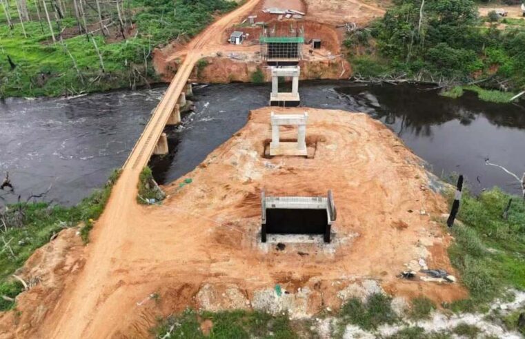 Pont sur le Dja : le chantier du désenclavement du Sud camerounais progresse rapidement
