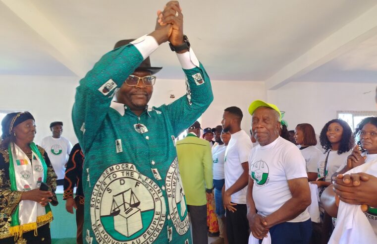 Sdf : nomination stratégique de Louis Marie Kakdeu à la tête de la commission électorale