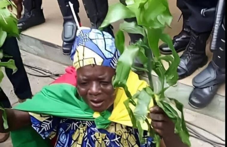 La scène politique camerounaise en deuil : Maman Kamto tire sa révérence
