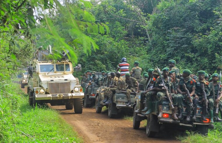 Plus de 300 civils tués par les rebelles adf en rdc depuis ce début d’année