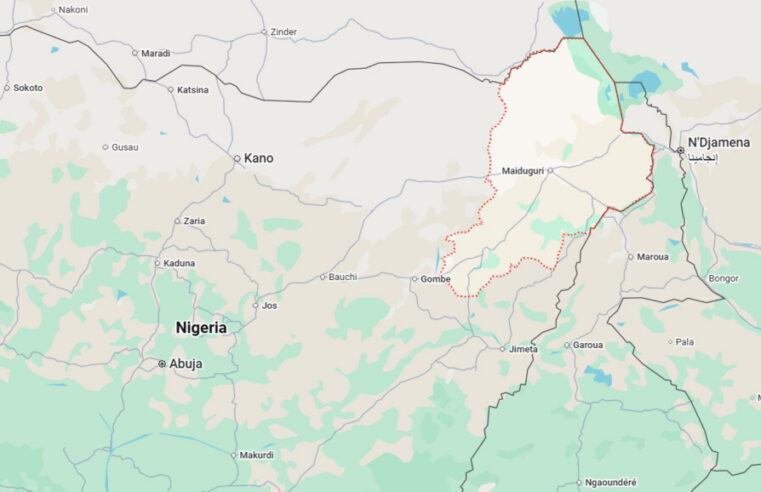 Nigeria: libération de 416 femmes et enfants détenus par Boko Haram dans le Borno