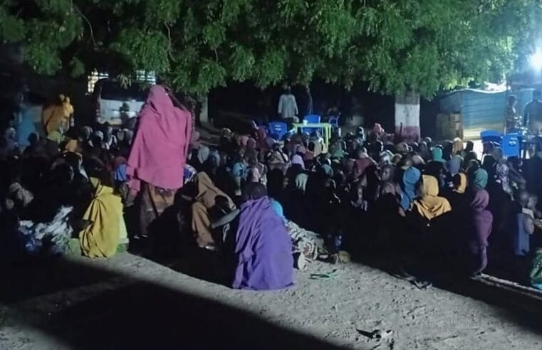 Borno : plus de 400 otages libérés des mains de Boko Haram