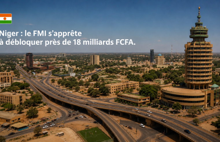 Le Fonds monétaire international approuve un décaissement majeur pour le Niger