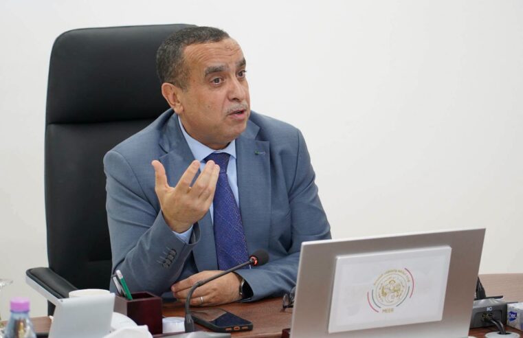 Adjal : lancement prochain de la centrale électrique de N&rsquo;Djamena