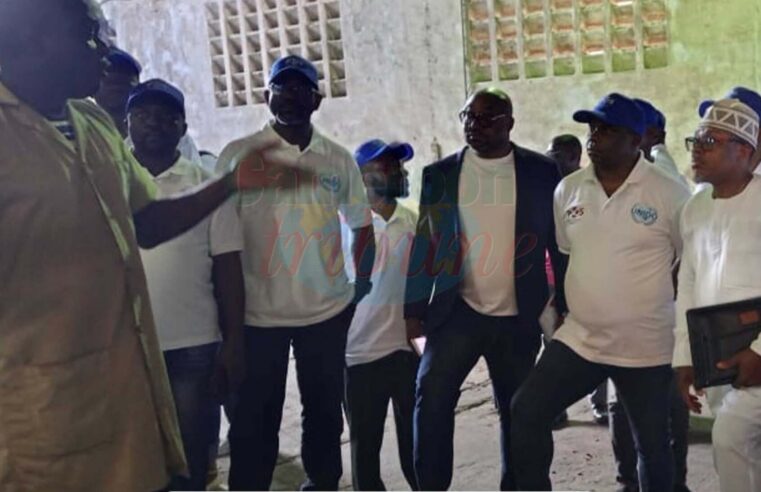 L&rsquo;excellence du cacao camerounais : une formation clé pour des exportations de haute qualité