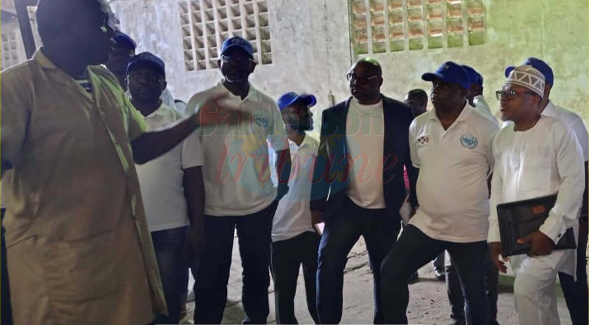 L&rsquo;excellence du cacao camerounais : une formation clé pour des exportations de haute qualité
