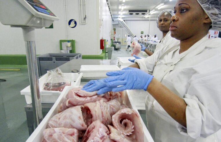 Le Gabon rompt son partenariat de pêche avec l&rsquo;Union européenne